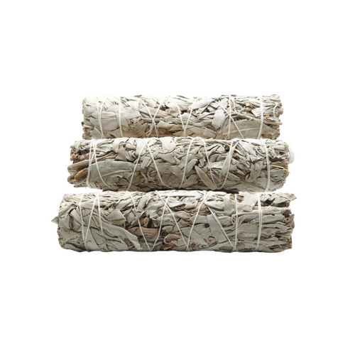 Sustainably Sourced Sage from North America