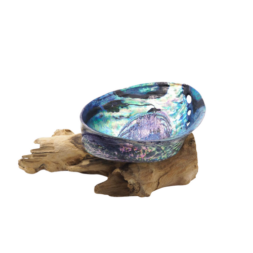 Large Abalone Ceremony Shell with Optional Stand for Smudging Rituals, Cleansing