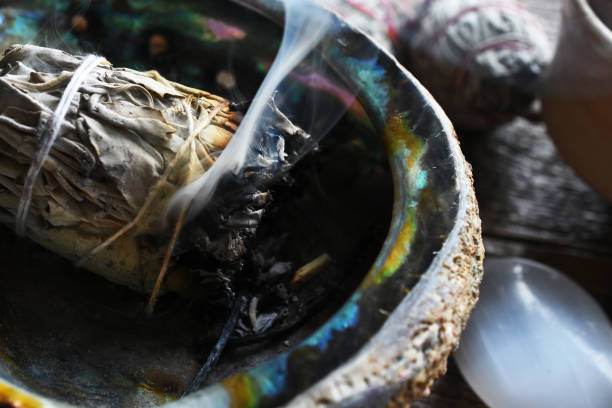 Sage Wisdom: Purifying Your Space and Spirit